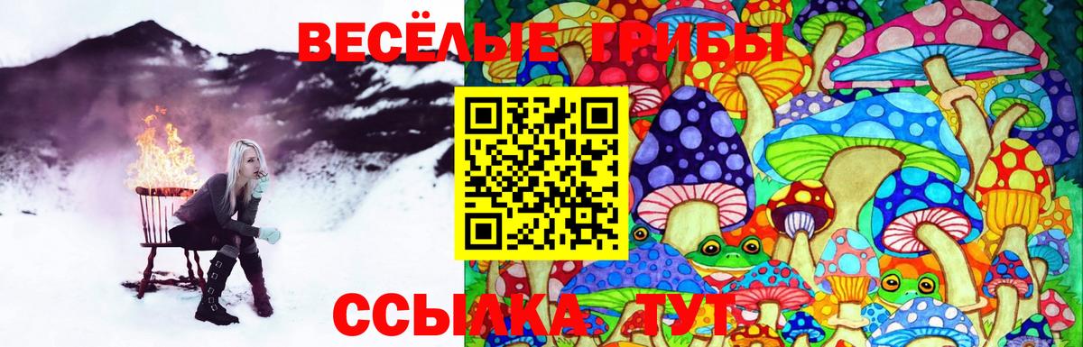 Псилоцибиновые грибы ЛСД  Вход с VPN  Аксай 